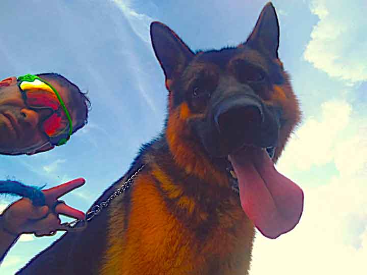 Marcelo Cão da Montanha - Dog Walker