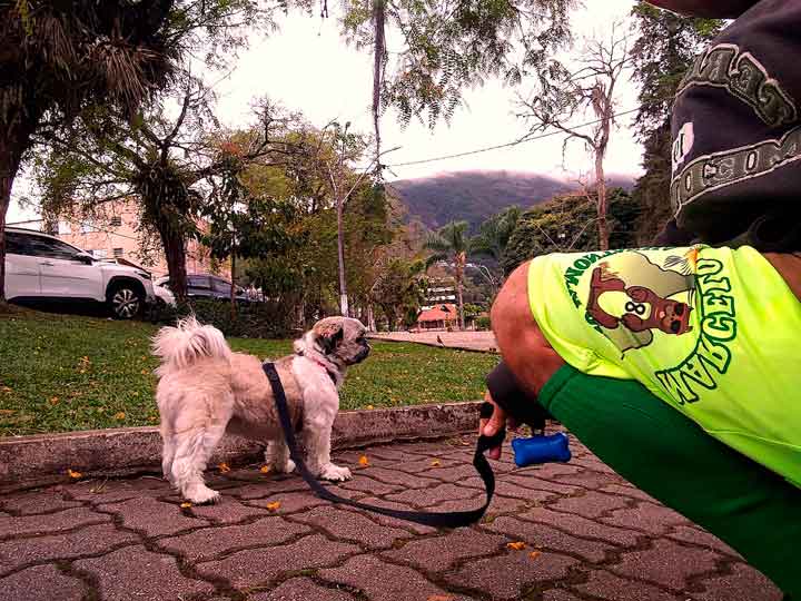 Marcelo Cão da Montanha - Dog Walker